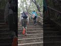Hiked ‍ ️ ‍ ️ With Friends Travel Music Remix Hongkongadventures Ofwlife Nature Shorts