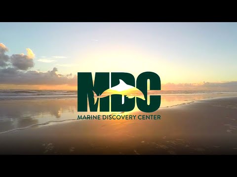 Marine Discovery Center video thumbnail