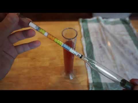 Hydrometer for Home Brew Alcohol Beer/Wine Making