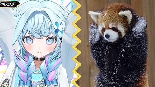If Su were an animal...? 【Hololive/FLOW GLOW/Mizumiya Su】【Eng/JP Sub】
