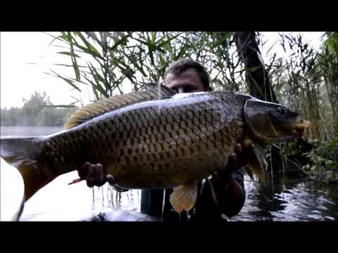 Carp fishing "Öreg Tőponty"