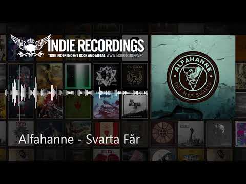 Alfahanne - Svarta Får