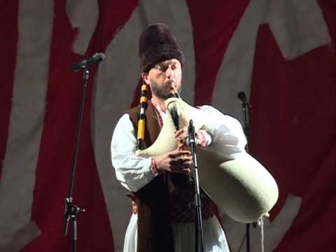 Srpske gajde-Petrovdansko oro- Dusan Popovic 2013.