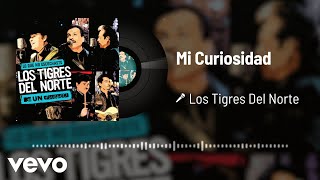 Los Tigres Del Norte - Mi Curiosidad (Live / Audio)