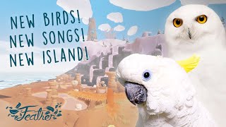 MAJOR Update + 10 mins of Relaxing Gameplay  -  FEATHER