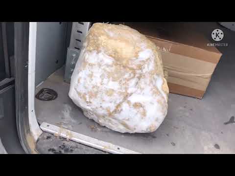 The Jimaican  pop sled run Disaster