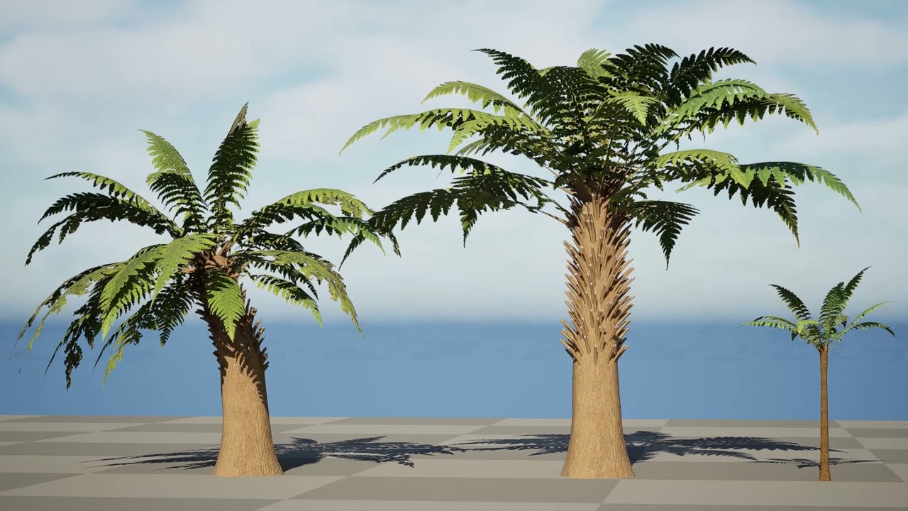 Baumfarn 3D Modell