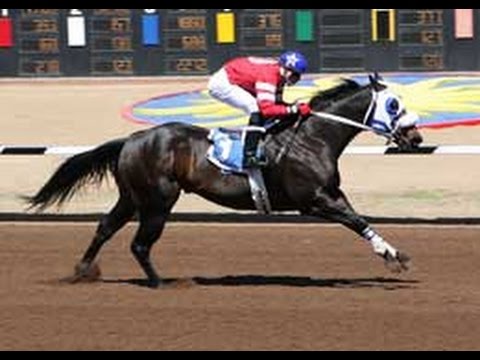 Corrido de "El Quematierras" (First MoonFlash) | Porteño de Sinaloa | Corridos de Caballos