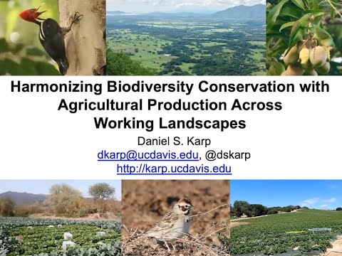 Harmonizing Bird Conservation with Food Production in Farming Landscapes