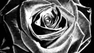 Bye Bye Love "By" Kenny Vance