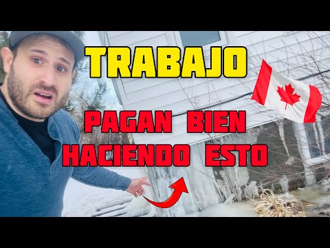 , title : 'Se puede ganar mucho dinero en esta actividad de la construcción'