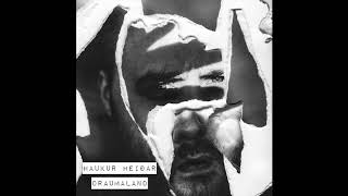 Haukur Heiðar - Draumaland (official audio)