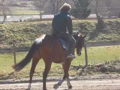 jument aqps 7ans frerejacques