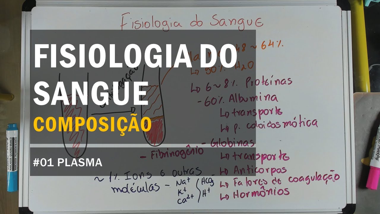 Fisiologia do Sangue  - #01 Composição: Plasma