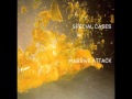 Massive Attack - Special Cases (Akufen Remix ...