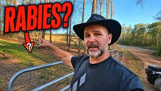 Creepy Discovery Deep in the Woods….....Could this Be RABIES?