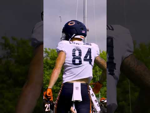 Chicago Bears video artwork