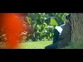 Shahrukh Khan Songs