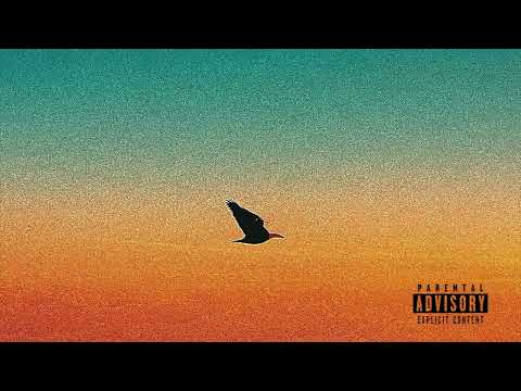 DN9NE - FLY (Official Audio)