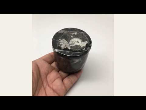 234g, 2.2"x2.4" Small Round Fossils Ammonite Brown Jewelry Box @Morocco,MF901