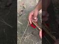 HOW TO ROLL A JOINT Viral Shorts