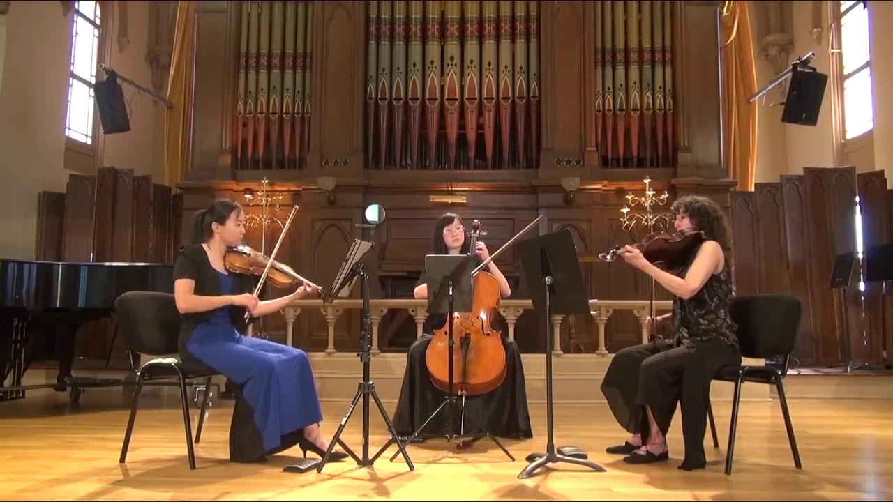 Promotional video thumbnail 1 for Quinn Liu, Cellist