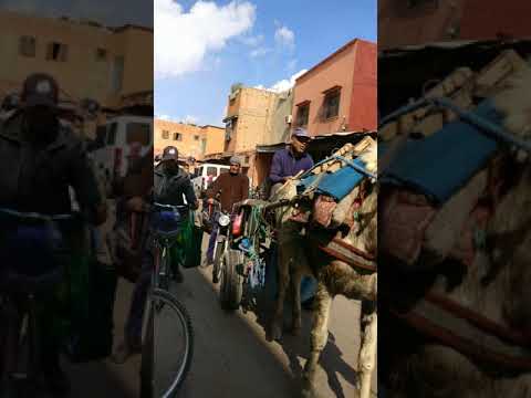 Passagem no souk de Marrakech, Samedi, 24 de fevereiro de 2018