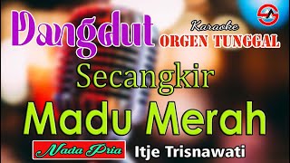 Download lagu Secangkir Madu Merah - Itje Trisnawati || Karaoke [Nada Pria] Dangdut Orgen Tunggal mp3