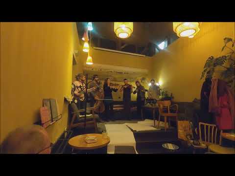 Folk Fiddle Ensemble Wien LIVE - Svadbeni Čoček