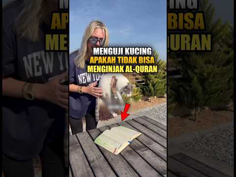 wanita ini mengnguji apakah se ekor kucing tidak bisa menginjak al-quran