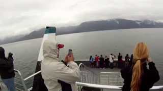 preview picture of video 'Best of Juneau Excursion - Carnival / Allen Marine Tours'