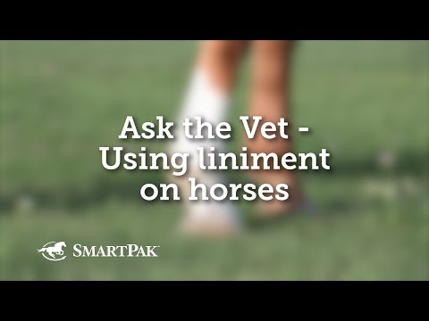 Using liniment on horses