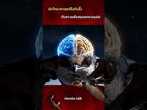 นักวิทยาศาสตร์ถึงกับอึ้ง กับความลับของนกนางแอ่น #shorts