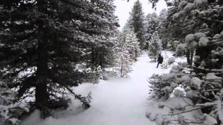 Passaggio a nord - ovest.