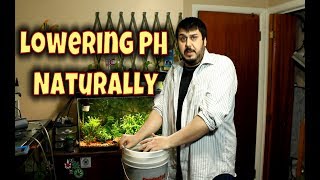 Natural Way to Lower PH For Your Cannabis Plants Using Peat, Humic Acid Benefits