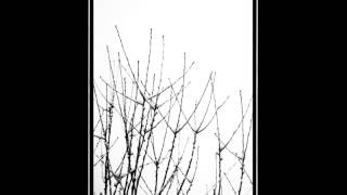 Judgement Of Paris - Blurred
