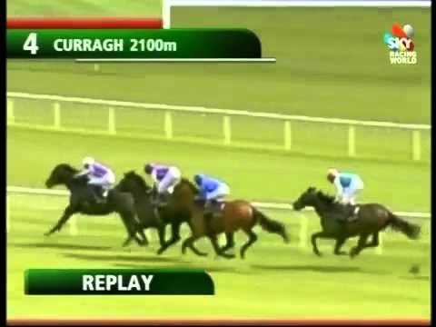 So you think wins the 2011 Tattersalls Gold Cup