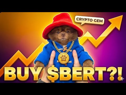 WHY IS $BERT TRENDING?! Should you buy Bertram the Pomeranian?! $Bert Price Prediciton