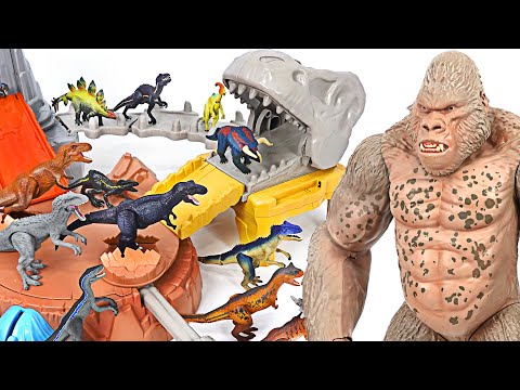 Giant Rampage King Kong appeared! Transform into Hulk and save little dinosaurs! | DuDuPopTOY