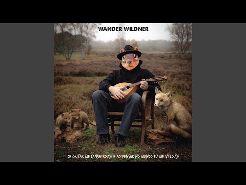 Estradas De Sc - Wander Wildner