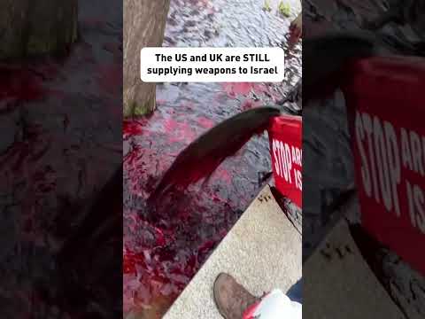 Greenpeace activists pour red dye into the pond at the US Embassy to protest arms sales to Israel