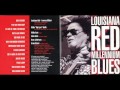 Red's Vision by Louisiana Red (1999)