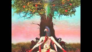 The Legendary Pink Dots - Grey Scale