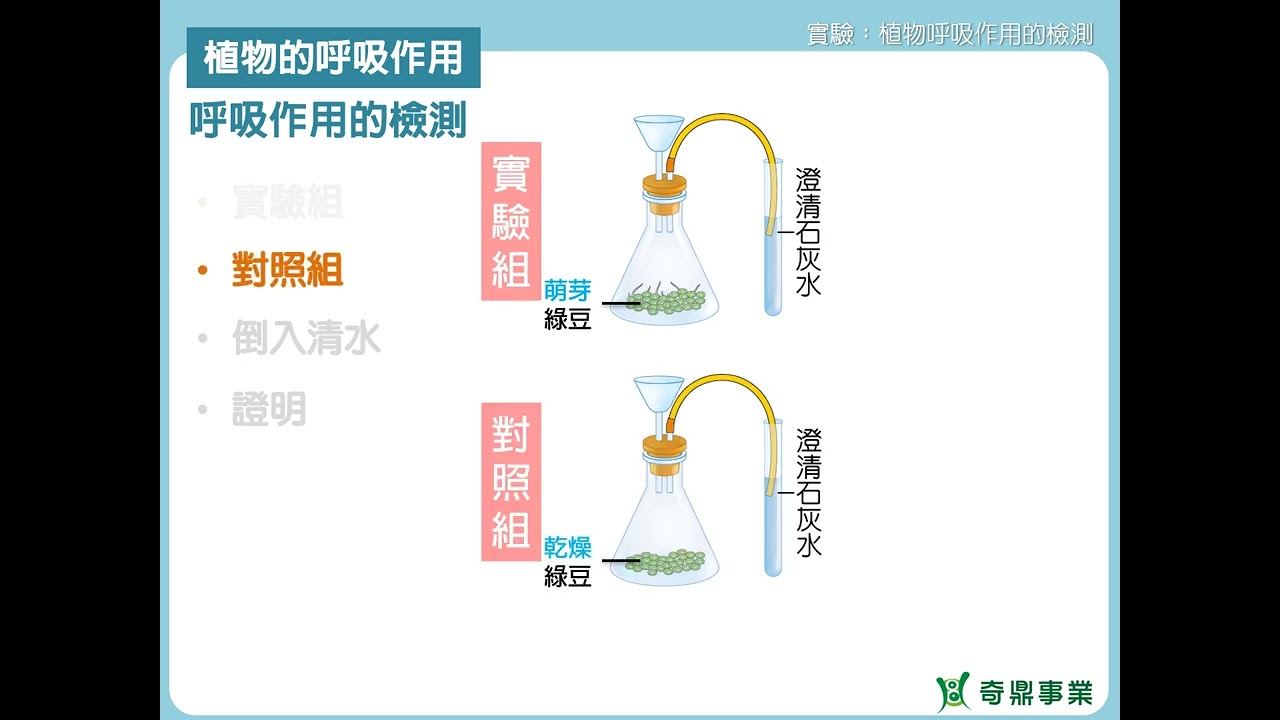 單元5：植物呼吸作用的檢測