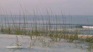 A Salty Piece of Land