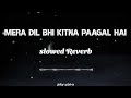 Mera Dil Bhi Kitna Paagal Hai Slowed Reverb SONG | Kumar Sanu , Alka Yagnik | Saajan | Naddem |