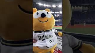 夏の陣8/13 オリックスvsイーグルスに行ってきました！！今更投稿ですが…