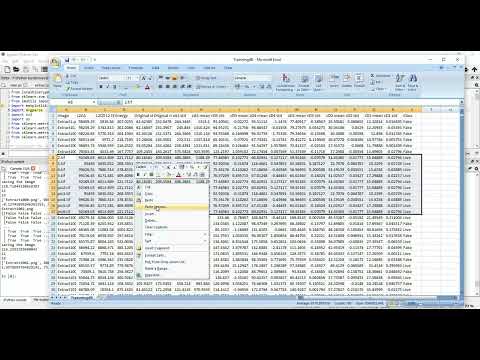 Finger Print Detection ML Classification in Python Projects