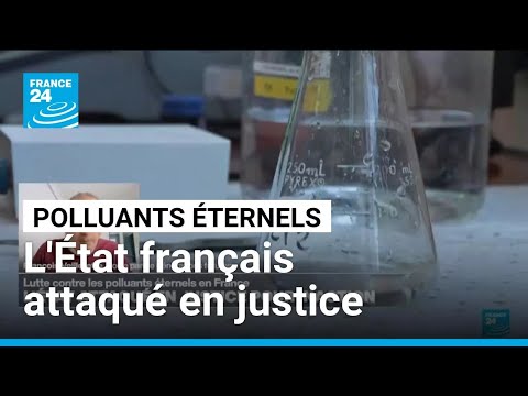 Lutte contre les PFAS : l'État français attaqué en justice pour inaction • FRANCE 24