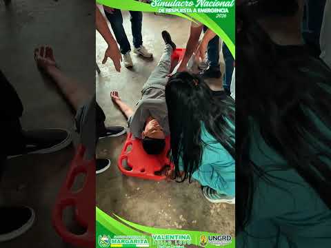 IMG 3729